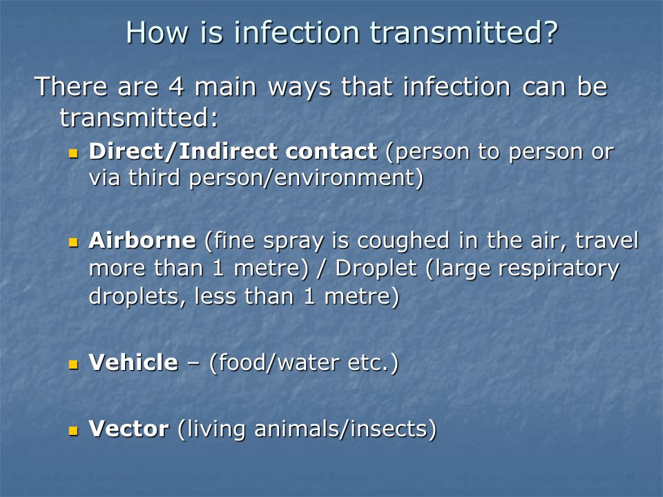 How is infection transmitted