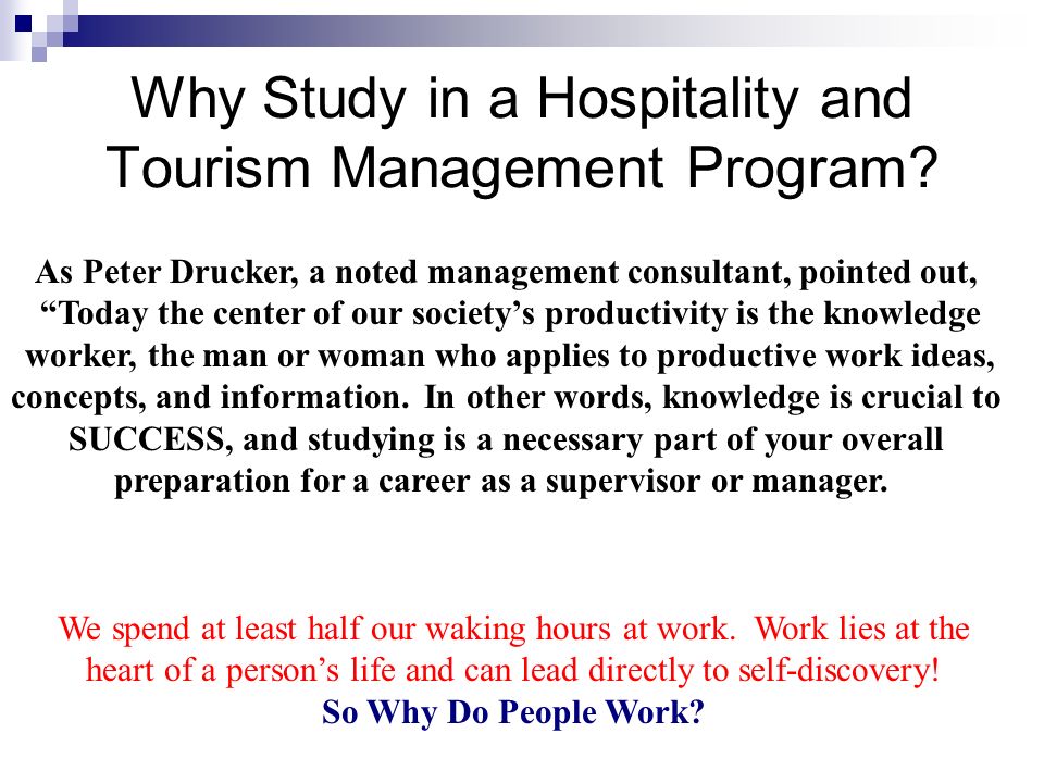 Why Study in a Hospitality and Tourism Management Program
