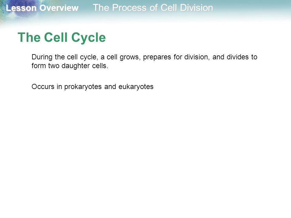 The Cell Cycle During the cell cycle, a cell grows, prepares for division, and divides to form two daughter cells.