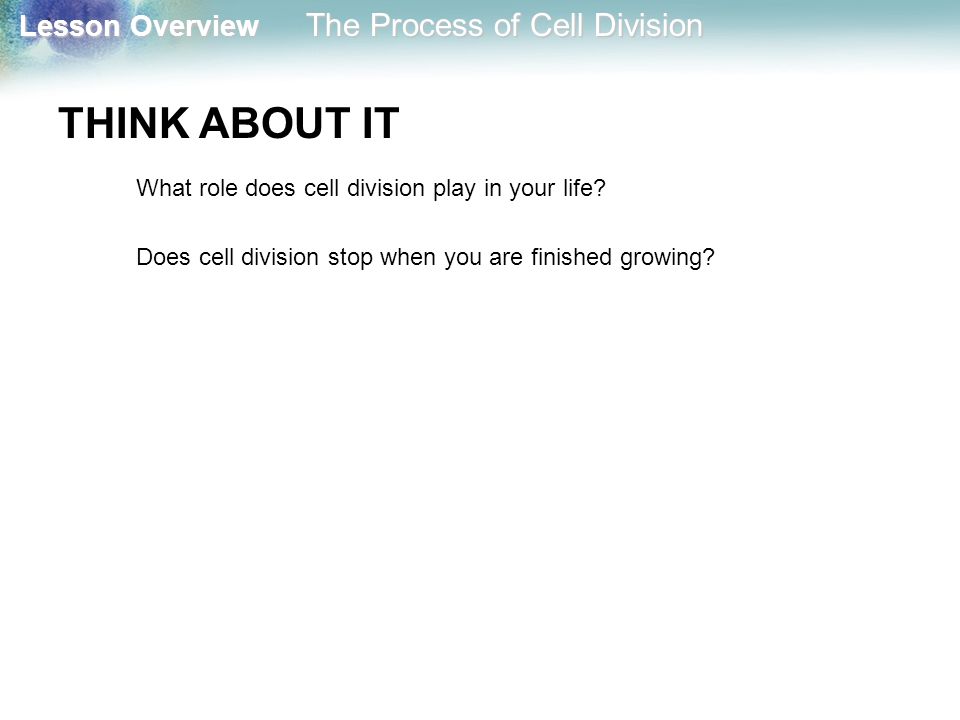 THINK ABOUT IT What role does cell division play in your life