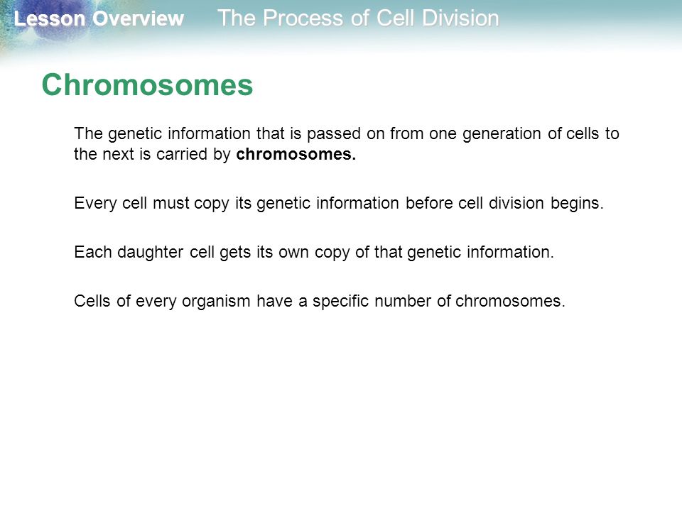 Chromosomes The genetic information that is passed on from one generation of cells to the next is carried by chromosomes.