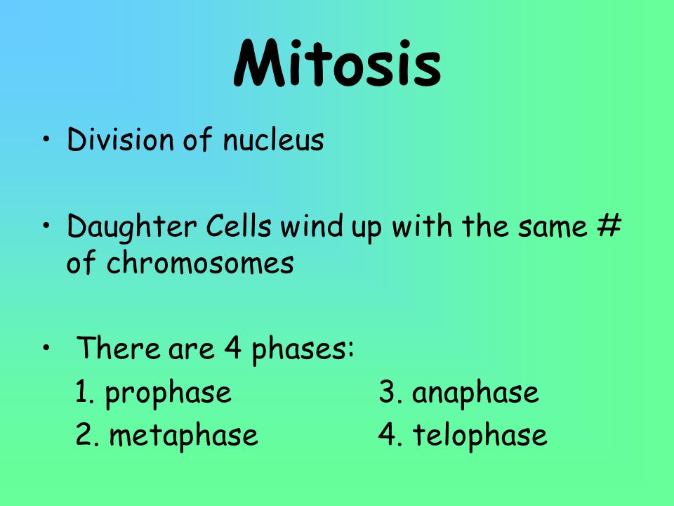 Mitosis Division of nucleus