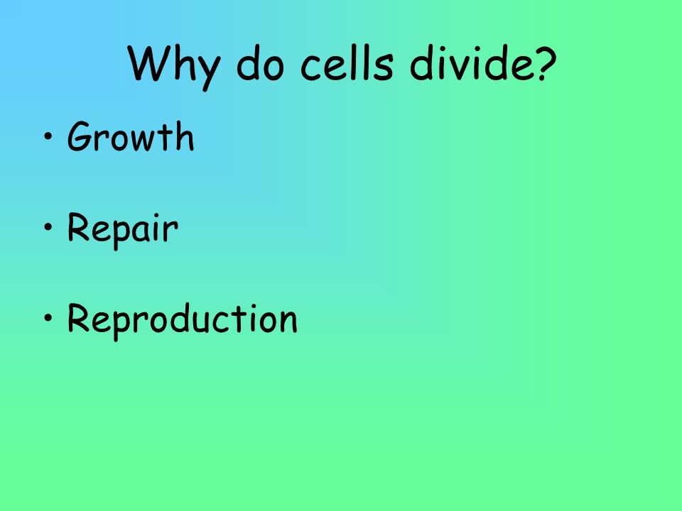 Why do cells divide Growth Repair Reproduction