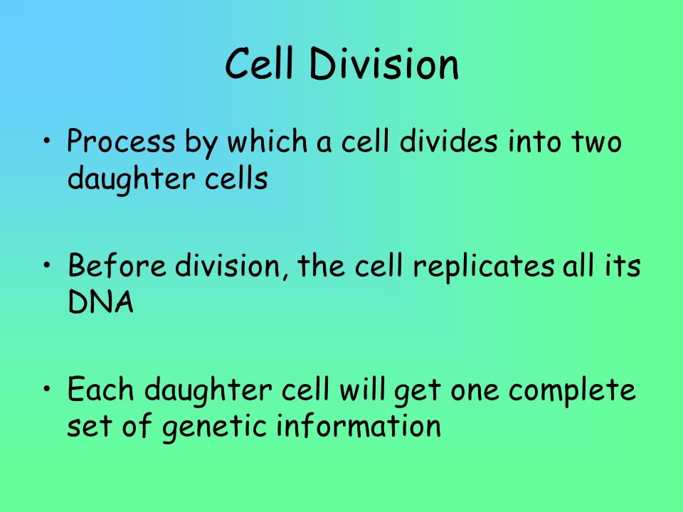 Cell Division Process by which a cell divides into two daughter cells