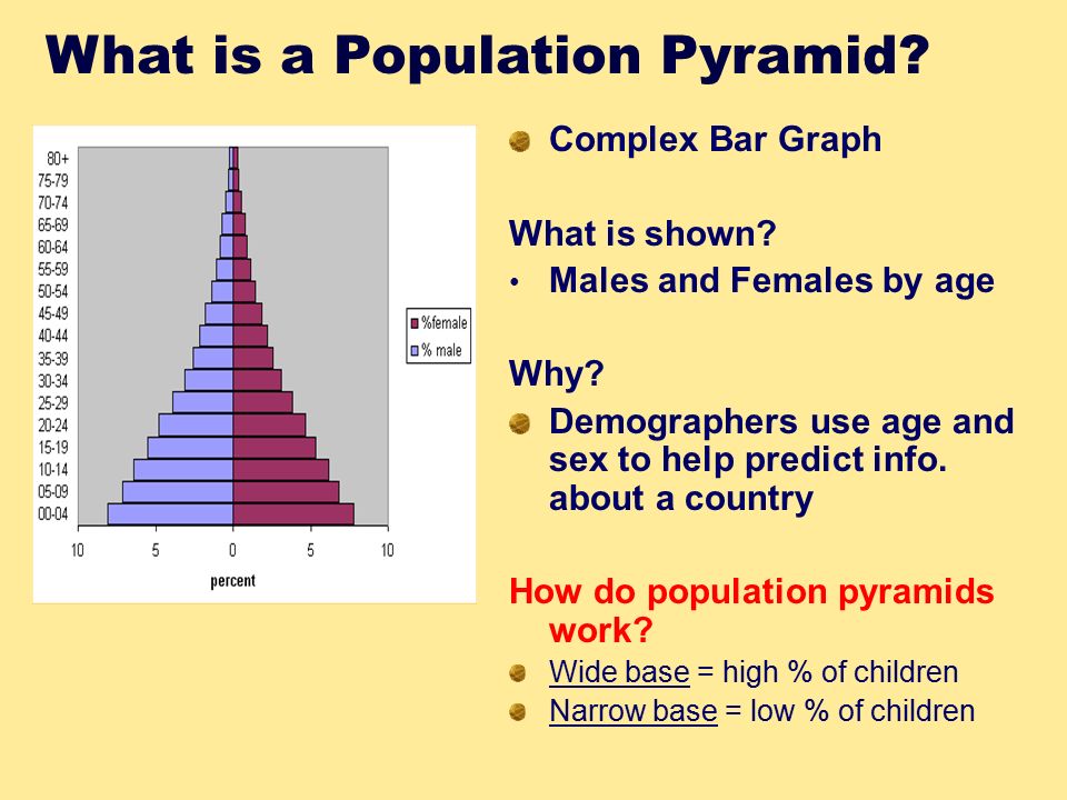 What is a Population Pyramid