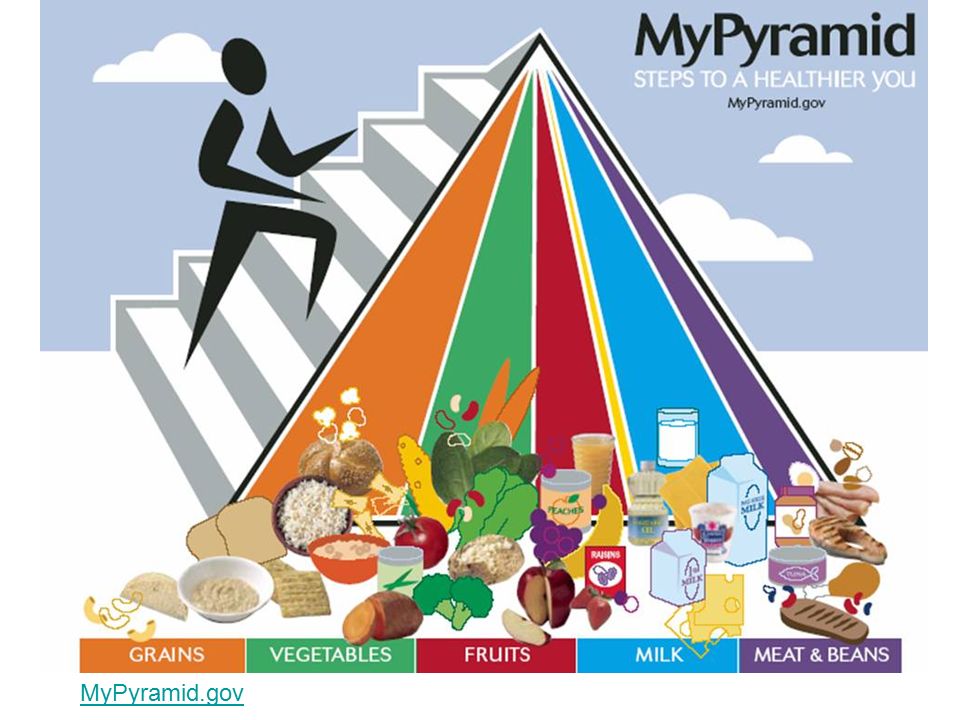 MyPyramid.gov