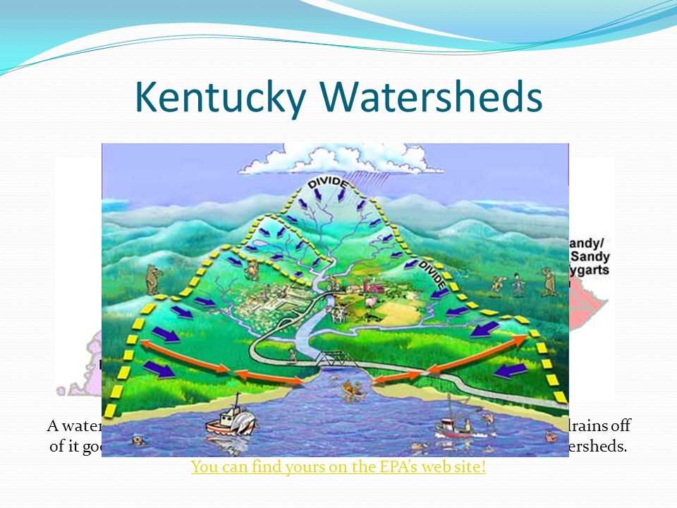 Kentucky Watersheds