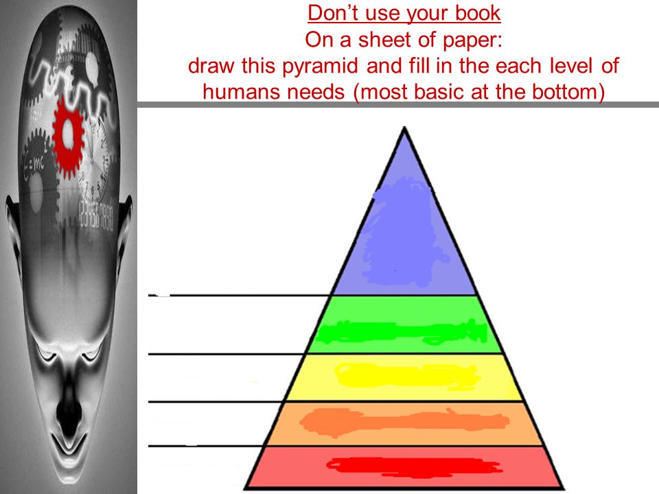 Don’t use your book On a sheet of paper: draw this pyramid and fill in the each level of humans needs (most basic at the bottom)