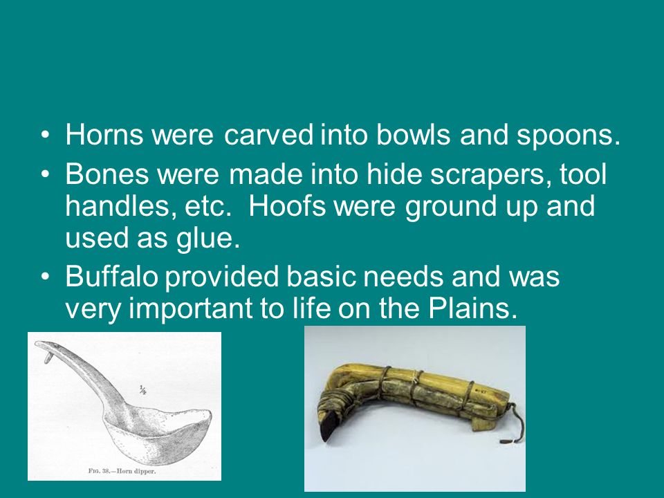 Horns were carved into bowls and spoons.