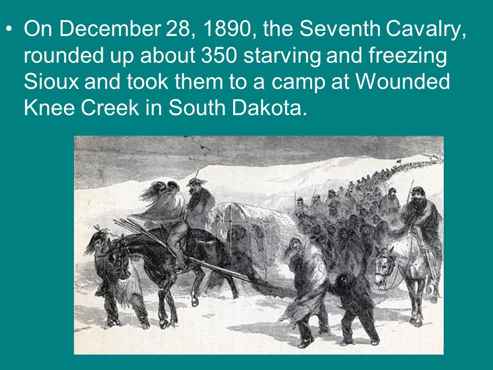 On December 28, 1890, the Seventh Cavalry, rounded up about 350 starving and freezing Sioux and took them to a camp at Wounded Knee Creek in South Dakota.