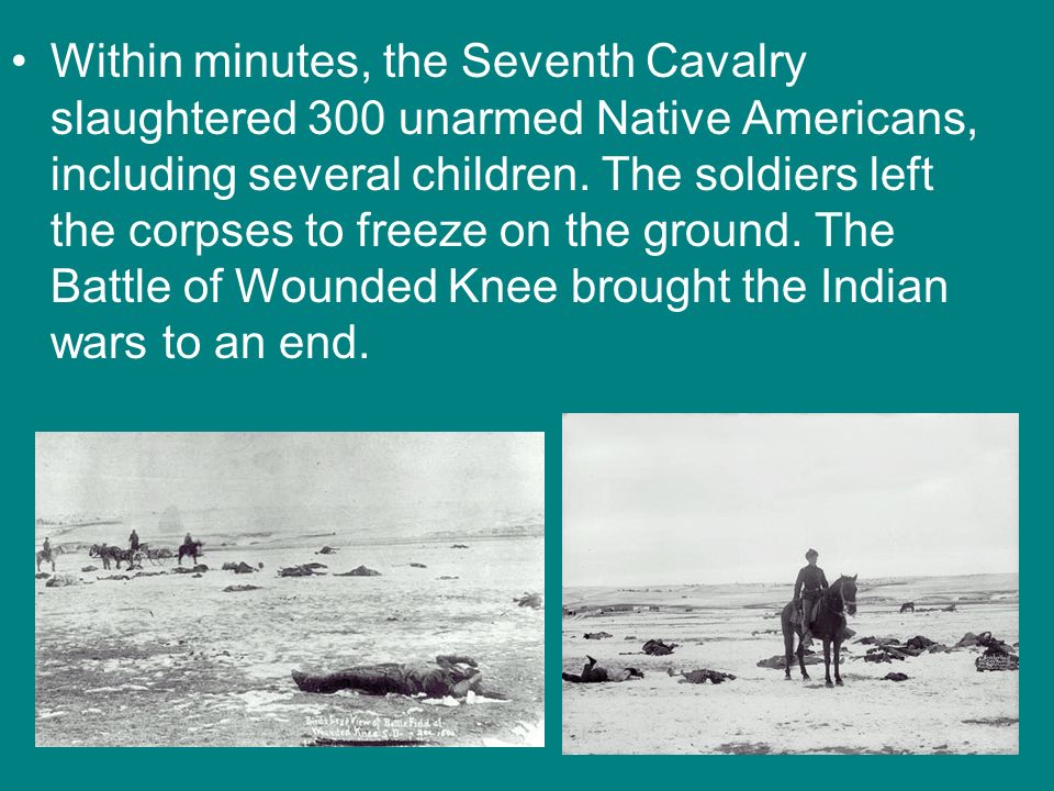Within minutes, the Seventh Cavalry slaughtered 300 unarmed Native Americans, including several children.
