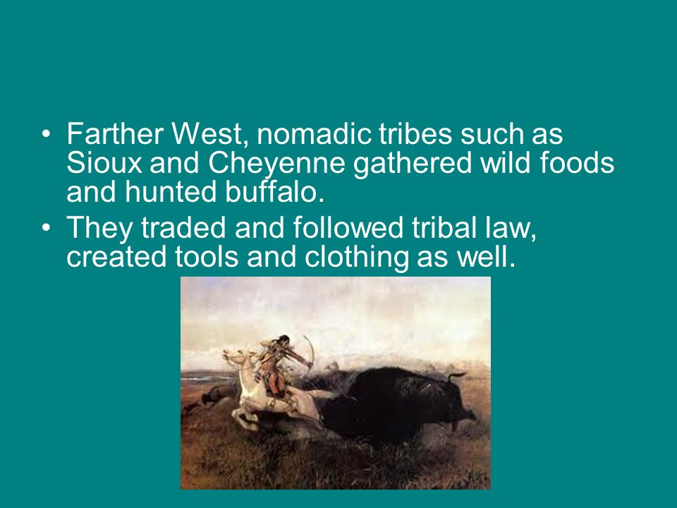 Farther West, nomadic tribes such as Sioux and Cheyenne gathered wild foods and hunted buffalo.
