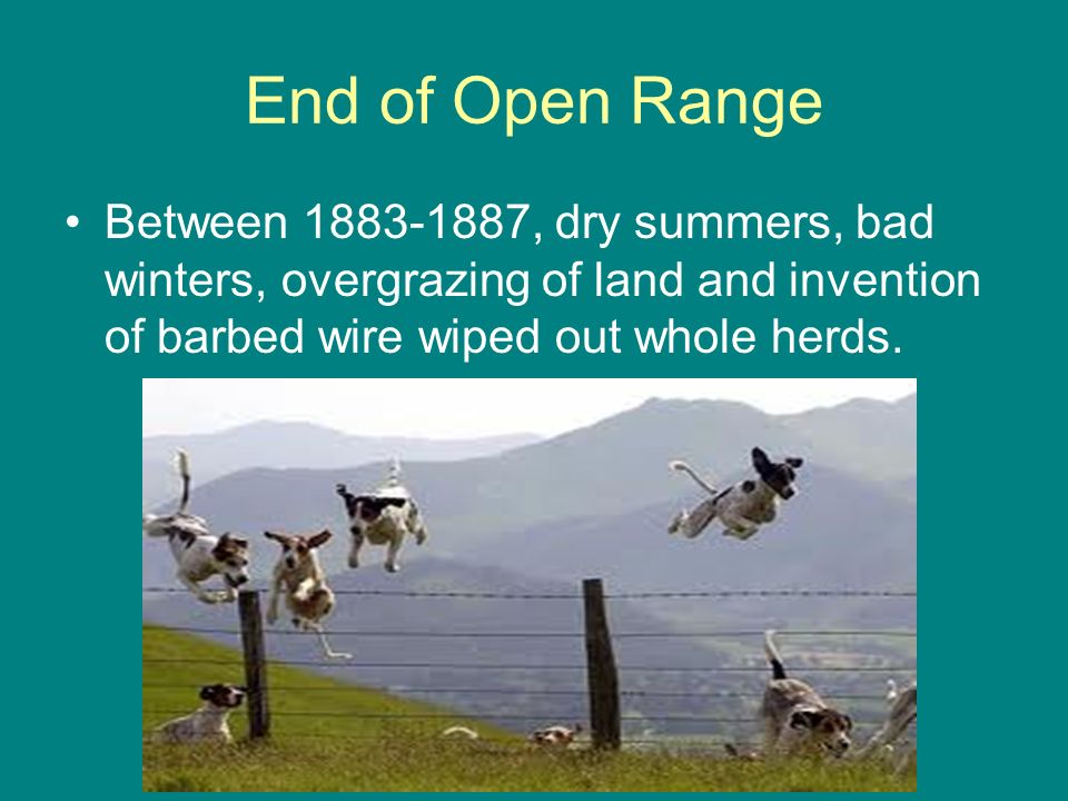 End of Open Range Between , dry summers, bad winters, overgrazing of land and invention of barbed wire wiped out whole herds.