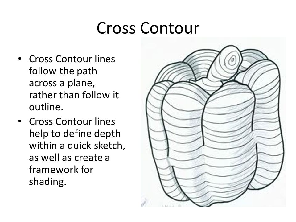 Cross Contour Cross Contour lines follow the path across a plane, rather than follow it outline.