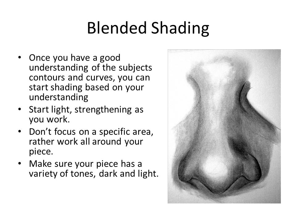 Blended Shading Once you have a good understanding of the subjects contours and curves, you can start shading based on your understanding.