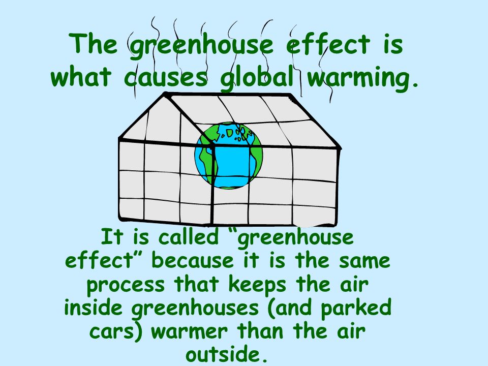 The greenhouse effect is what causes global warming.