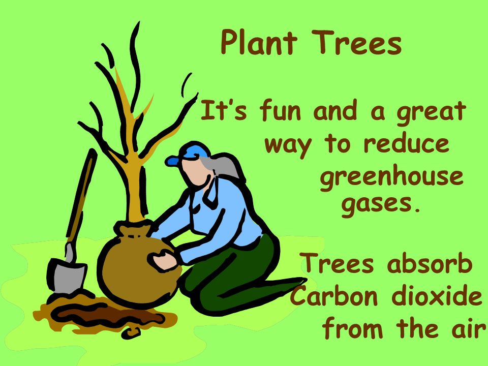Plant Trees It’s fun and a great way to reduce greenhouse gases.