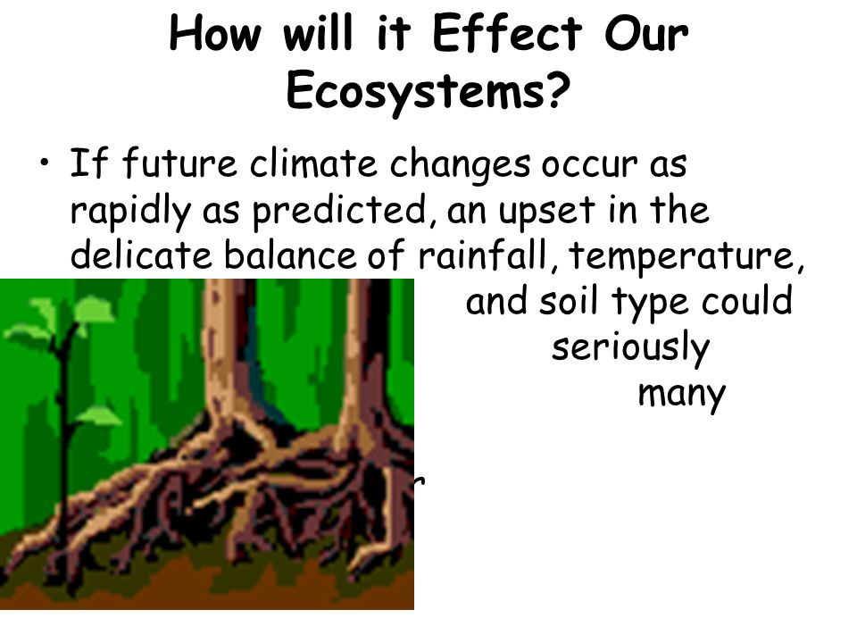 How will it Effect Our Ecosystems