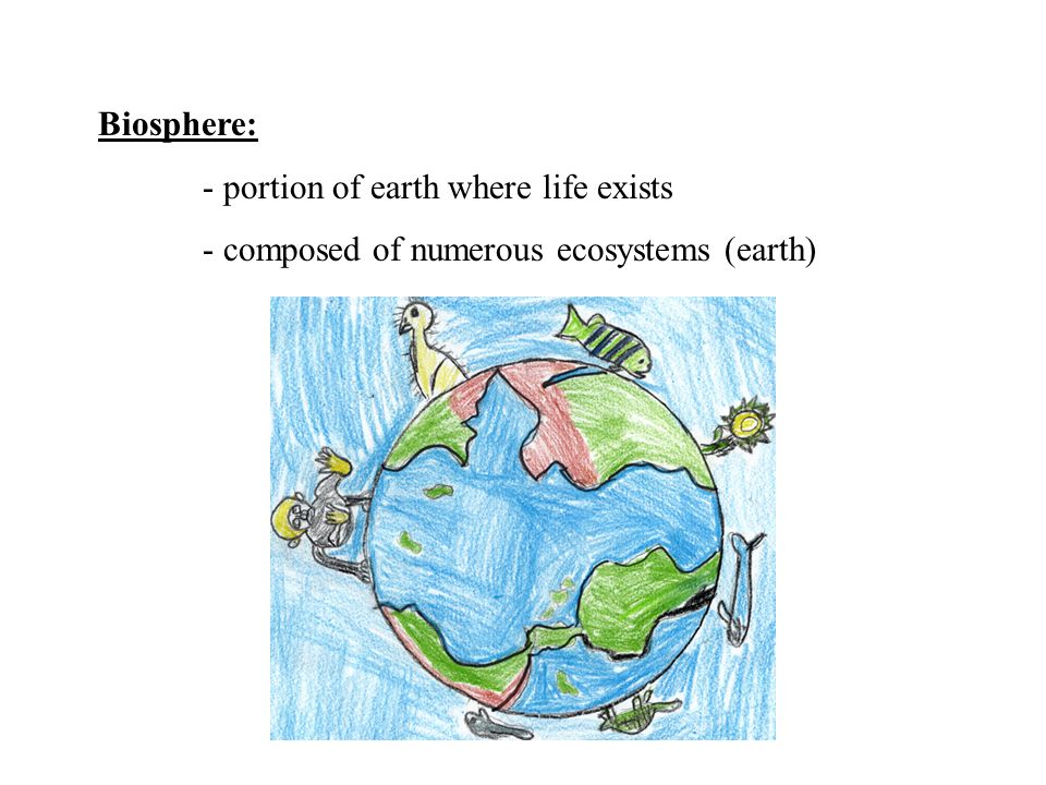 Biosphere: - portion of earth where life exists - composed of numerous ecosystems (earth)