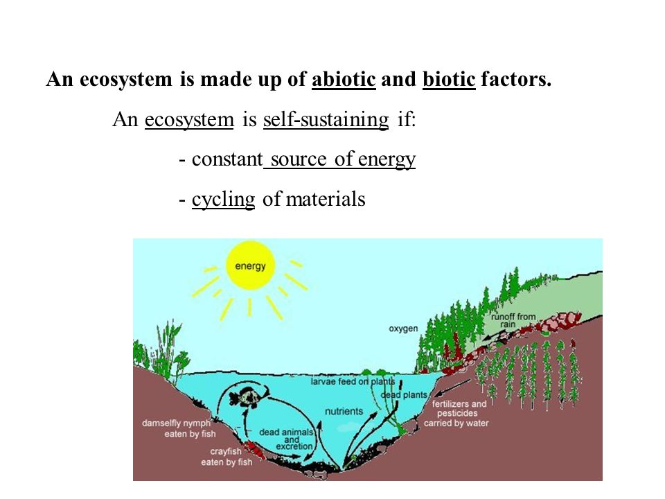 An ecosystem is made up of abiotic and biotic factors.