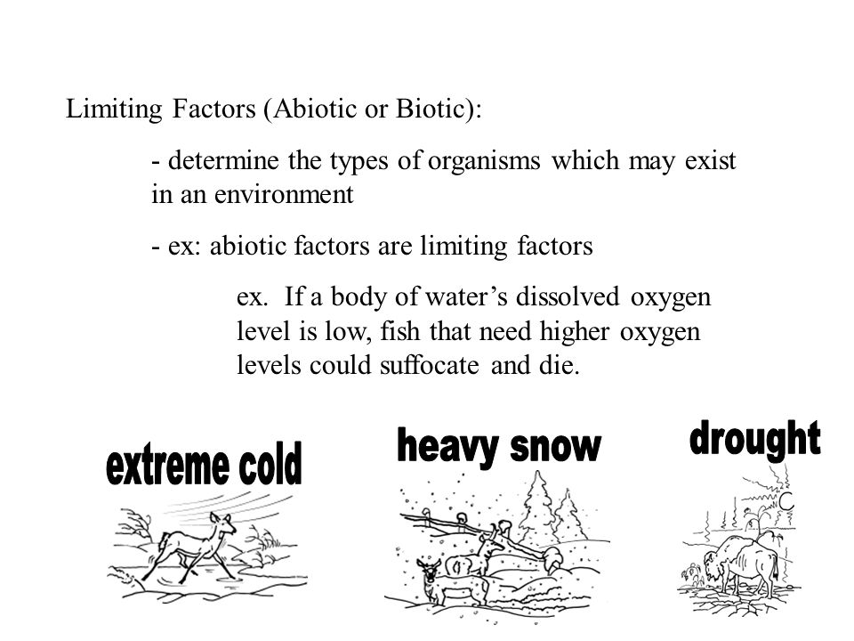 drought heavy snow extreme cold Limiting Factors (Abiotic or Biotic):