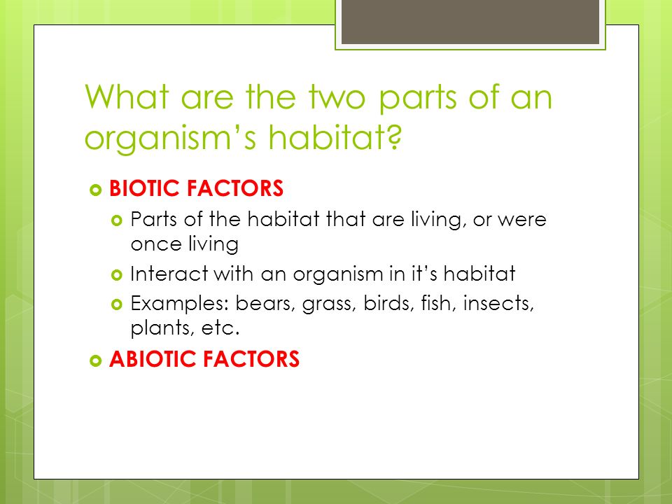 What are the two parts of an organism’s habitat