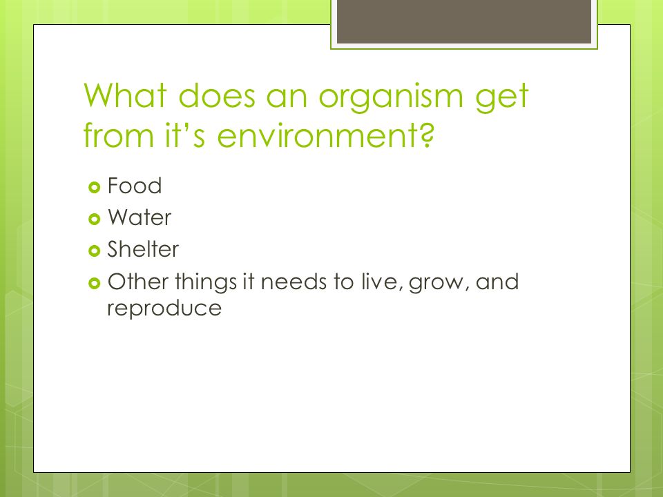 What does an organism get from it’s environment