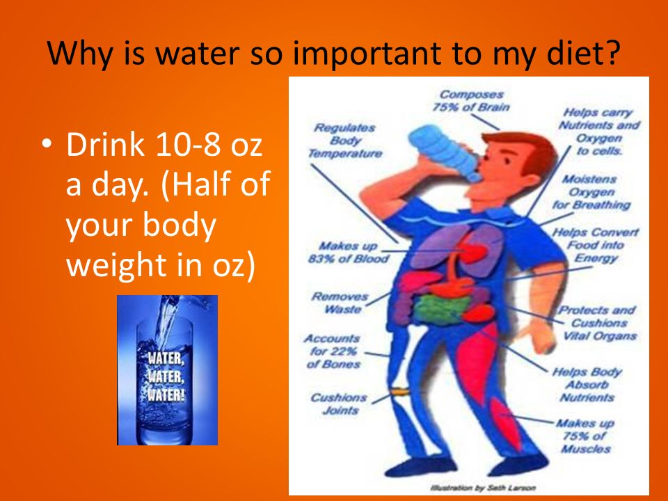 Why is water so important to my diet