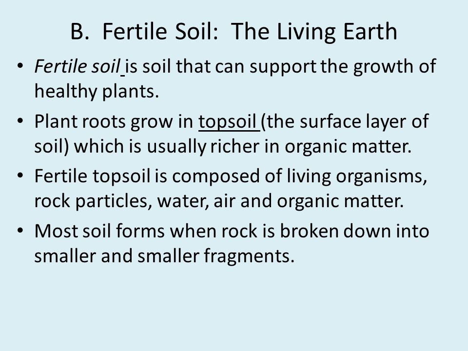 B. Fertile Soil: The Living Earth