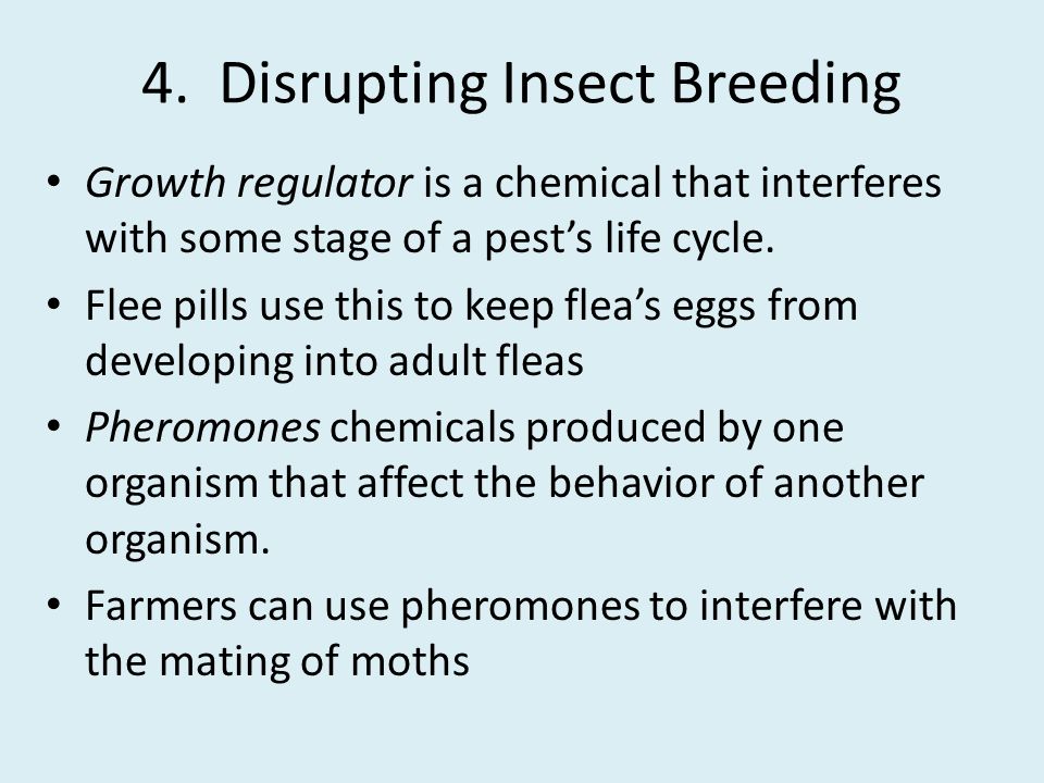 4. Disrupting Insect Breeding