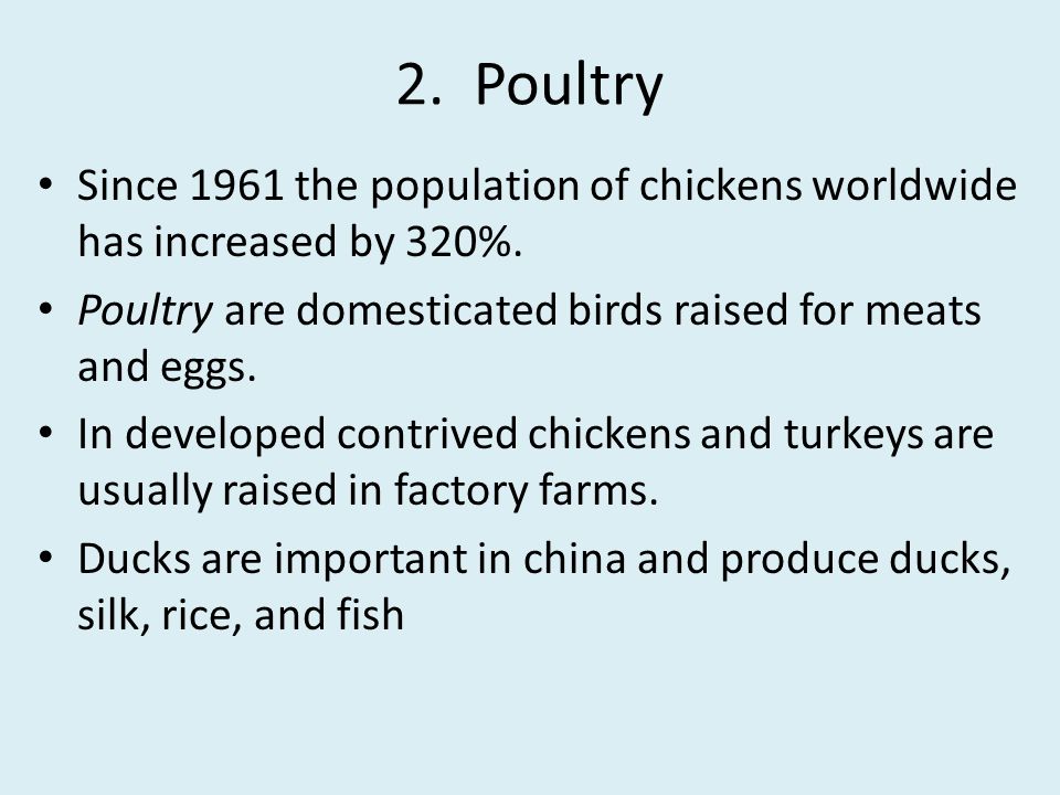 2. Poultry Since 1961 the population of chickens worldwide has increased by 320%. Poultry are domesticated birds raised for meats and eggs.