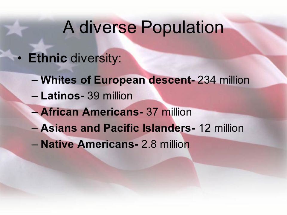 A diverse Population Ethnic diversity: