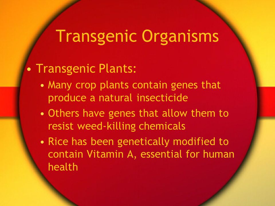 Transgenic Organisms Transgenic Plants: