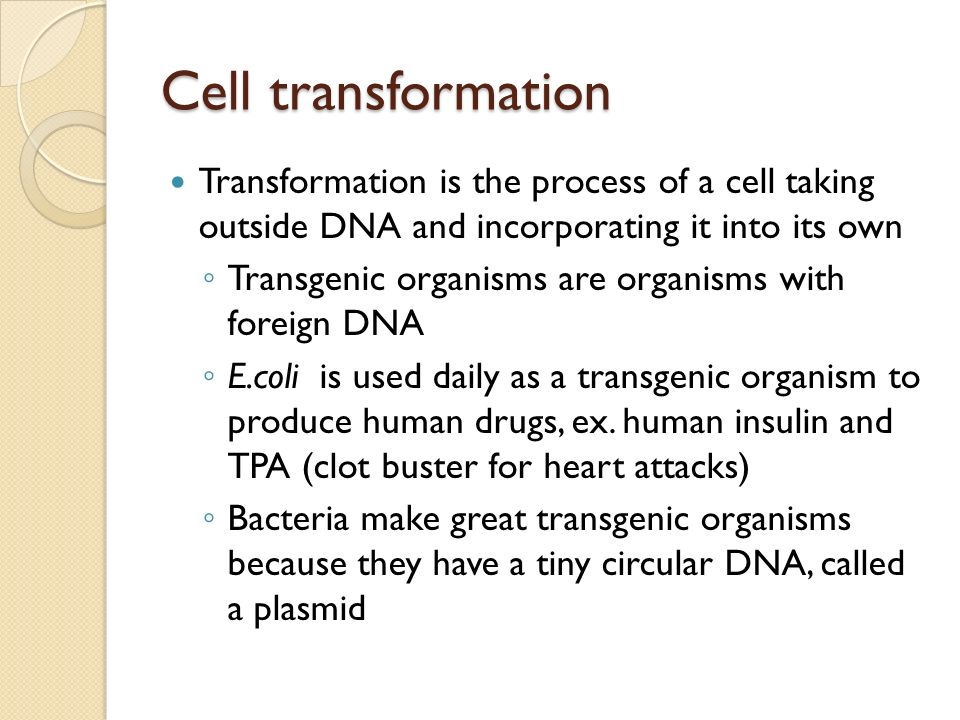 Cell transformation Transformation is the process of a cell taking outside DNA and incorporating it into its own.