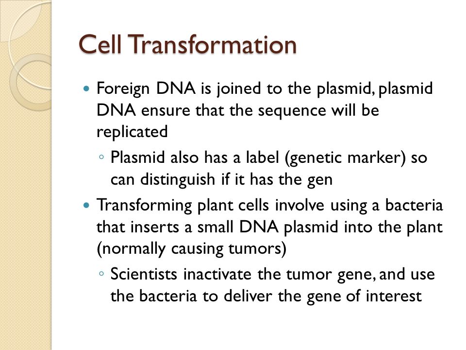 Cell Transformation Foreign DNA is joined to the plasmid, plasmid DNA ensure that the sequence will be replicated.