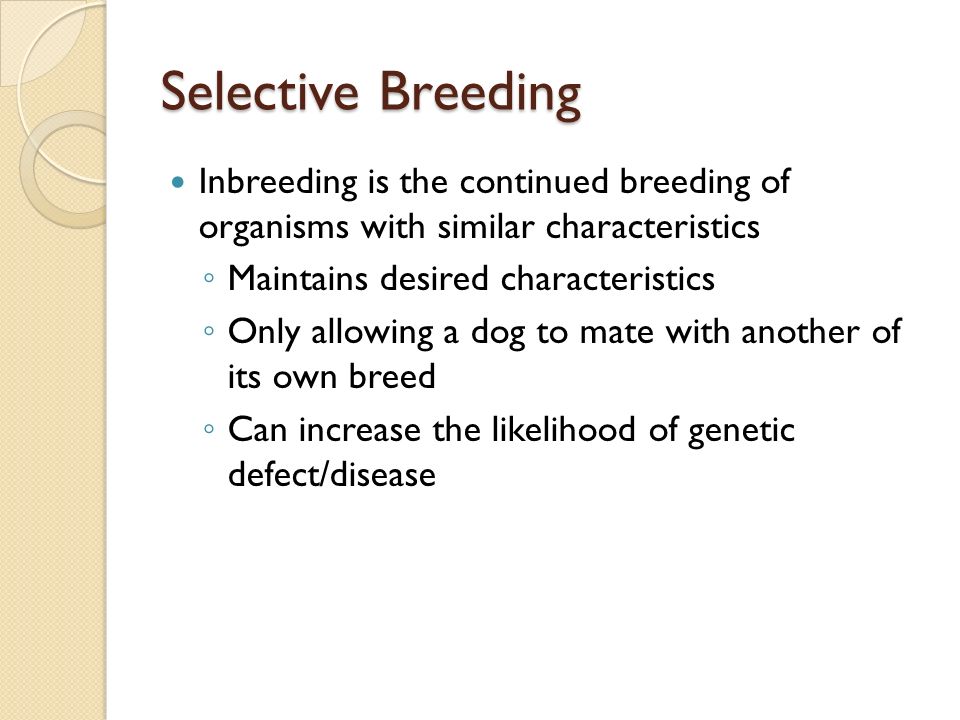 Selective Breeding Inbreeding is the continued breeding of organisms with similar characteristics.