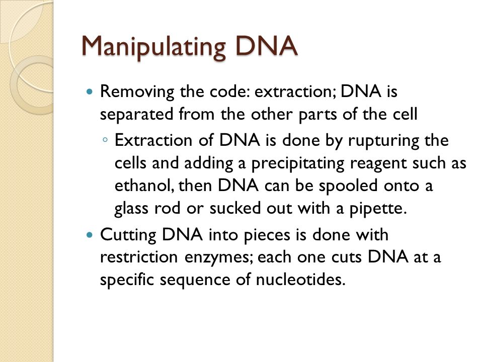 Manipulating DNA Removing the code: extraction; DNA is separated from the other parts of the cell.