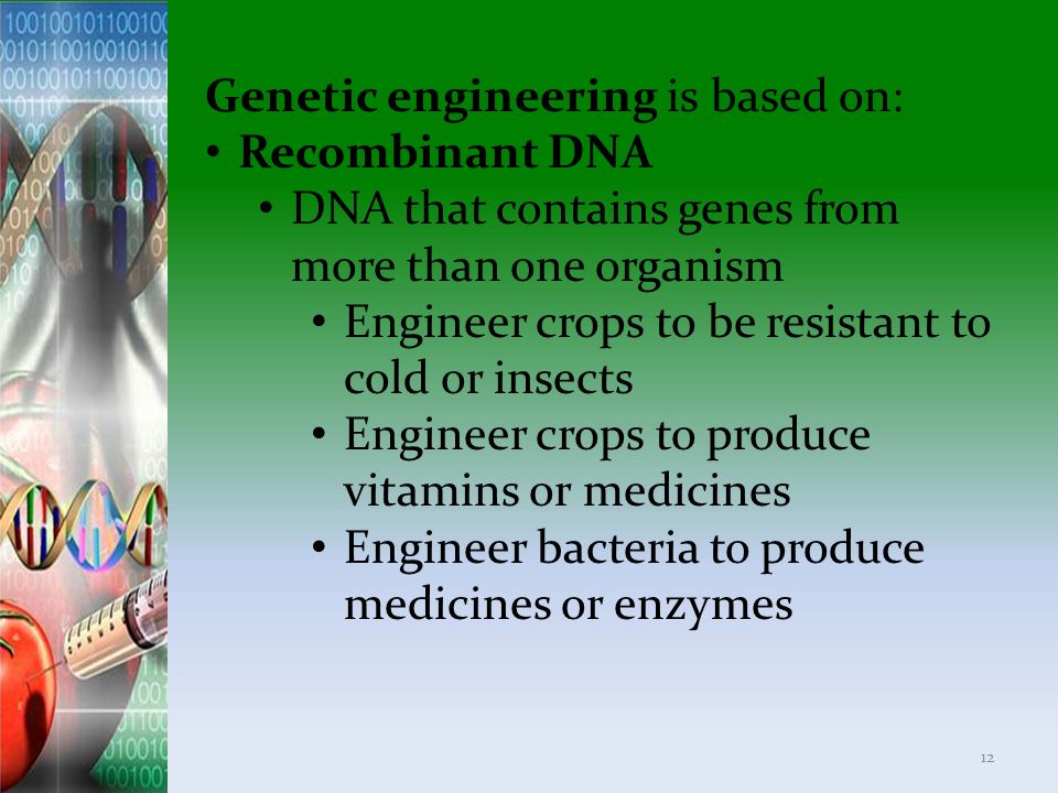 Genetic engineering is based on: