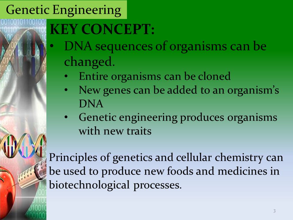 KEY CONCEPT: Genetic Engineering