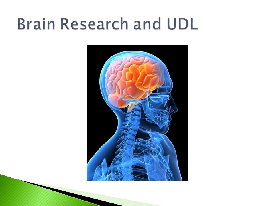 Brain Research and UDL