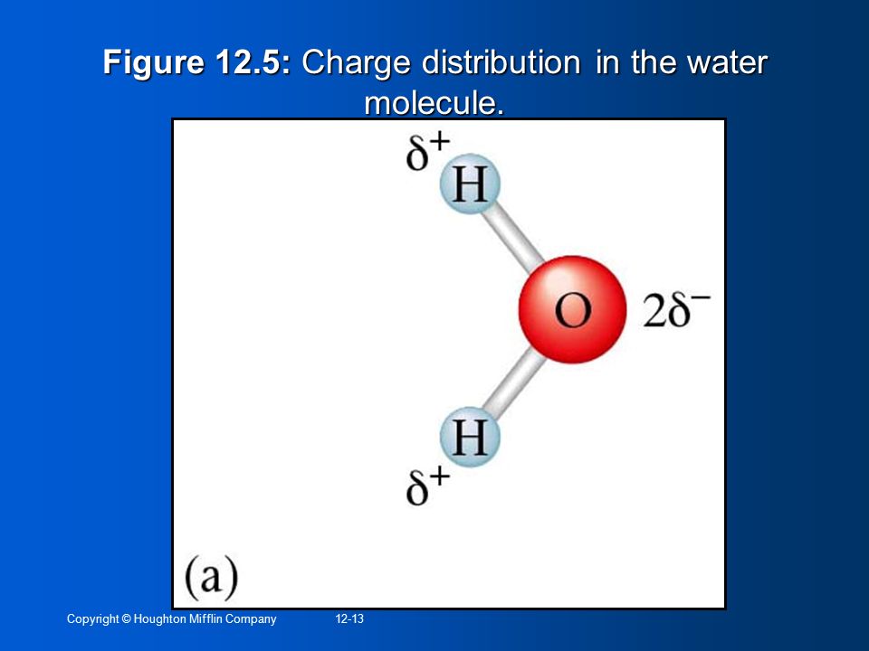 Figure 12.5: Charge distribution in the water molecule.