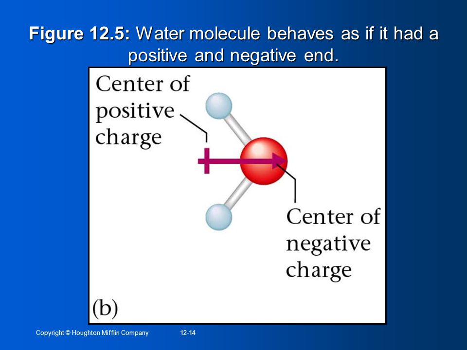 Figure 12.5: Water molecule behaves as if it had a positive and negative end.
