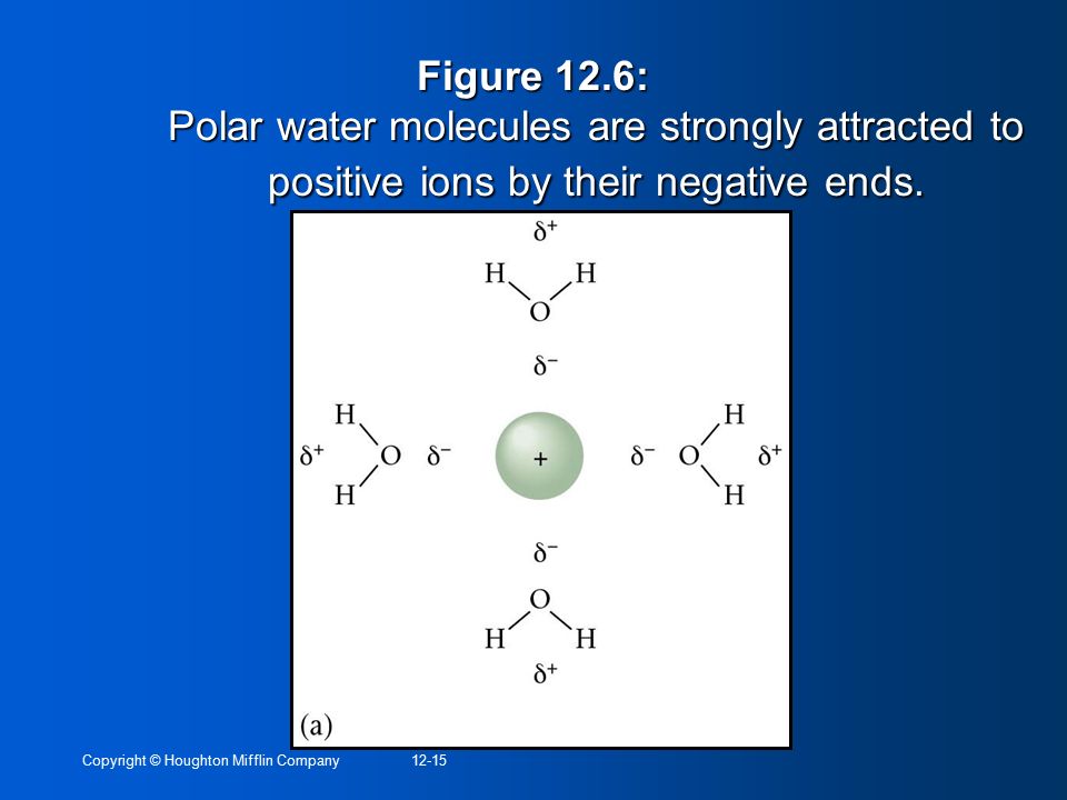 Figure 12.6: Polar water molecules are strongly attracted to positive ions by their negative ends.