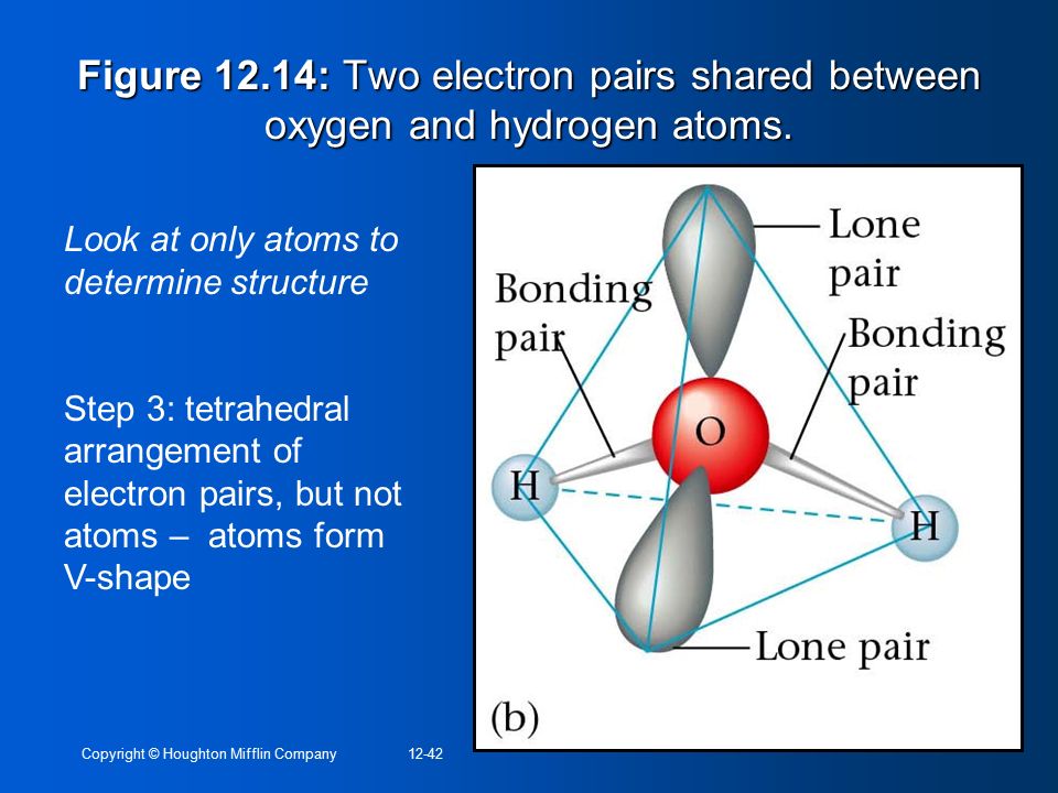Figure 12.14: Two electron pairs shared between oxygen and hydrogen atoms.