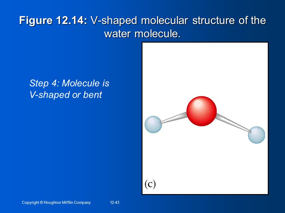 Figure 12.14: V-shaped molecular structure of the water molecule.