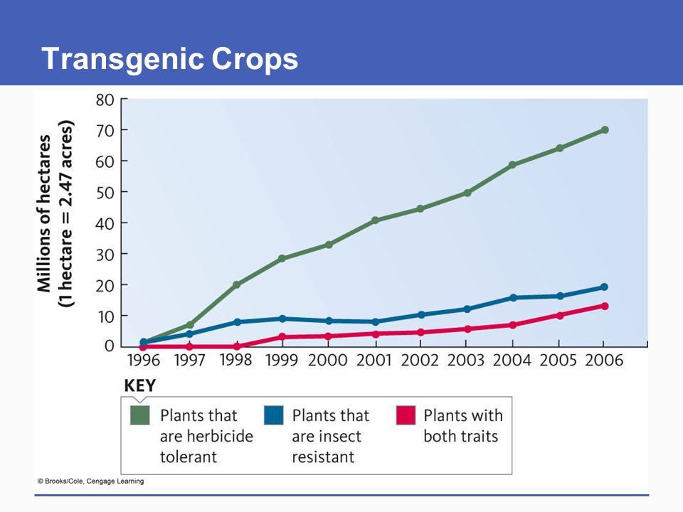Transgenic Crops