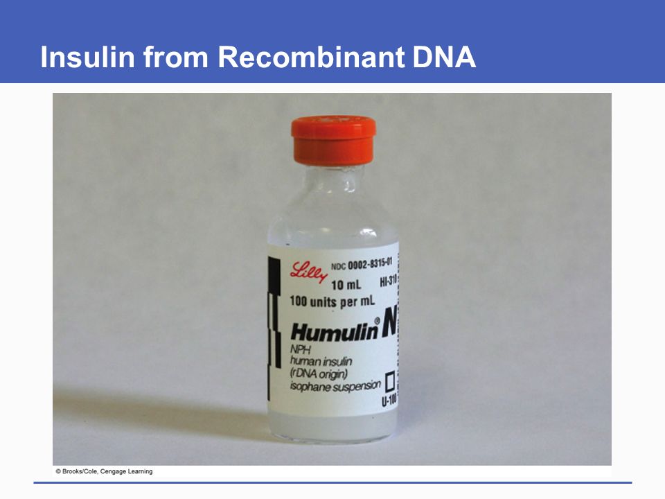 Insulin from Recombinant DNA