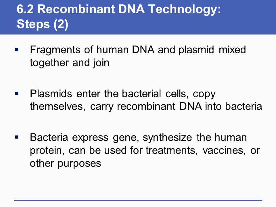 6.2 Recombinant DNA Technology: Steps (2)