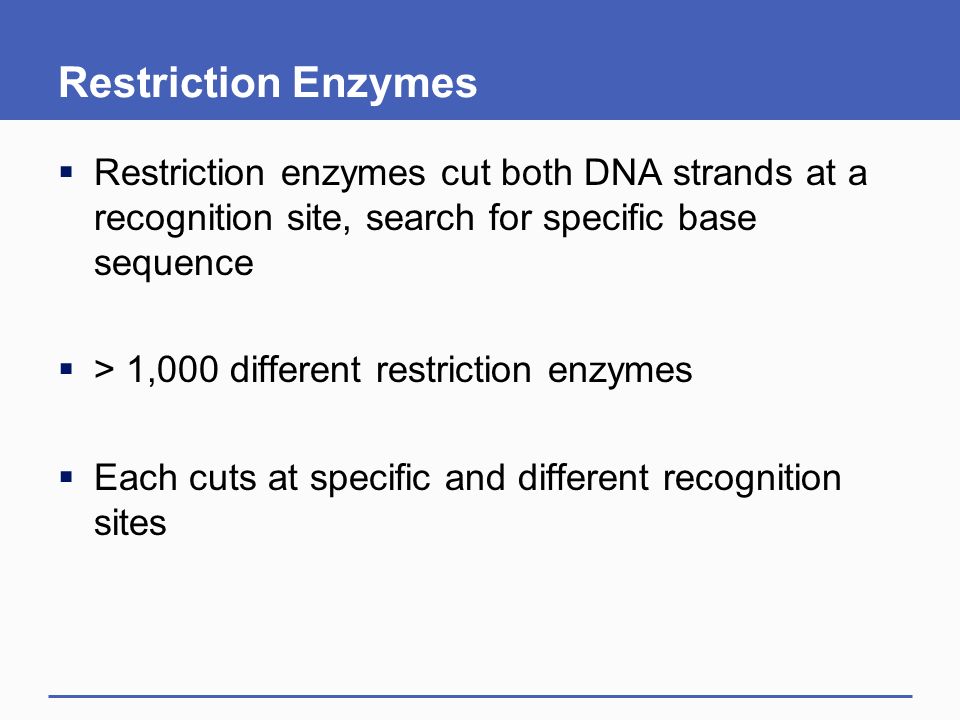 Restriction Enzymes Restriction enzymes cut both DNA strands at a recognition site, search for specific base sequence.
