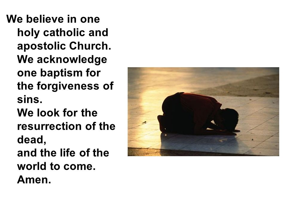 We believe in one holy catholic and apostolic Church